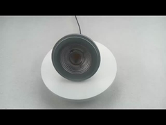 ES111 Bulbs